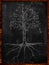 Tree Sketch leaves and root on blackboard