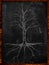 Tree Sketch no leaves root on blackboard