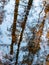 Tree and sky reflections in water, fuzzy texture, wallpaper