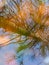 Tree and sky reflections in water, fuzzy texture, wallpaper