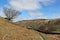 Tree skyline bracken footpath Watendlath Cumbria