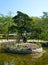 A tree on a small island, pond in Jongmyo Shrine