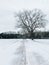 Tree and snow covered country road in winter, York County, Pennsylvania