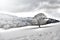 Tree in snowy landscape