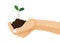 Tree and soil in human hand on white background
