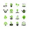 Tree sprout and plants vector icons. Seedling and hand planting pictograms