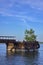 Tree Sprouts from Old Metal Dock by the River