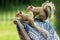 Tree Squirrels Perched on an Outdoor Chair