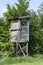 Tree stand along edge of meadow, vertical view