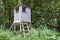 Tree stand in a forest, horizontal view