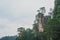 Tree on a stone pillar in Tianzi mountains