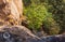 Tree and Stone or Rock Mountain Hill at Pha Hua Rue Cliff Phayao Attractions Thailand