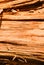 Tree stripped of bark and beautiful texture, background.Wooden texture. Natural wood structure in nature. Tree trunk.Vertical