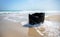 Tree stump on a beach