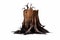 Tree Stump, Dead Tree, and Roots: Isolated on Transparent Background. A Naturalistic and Detailed Illustration. Generative AI