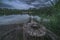 Tree Stump by the Lake