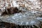 tree stump in winter covered with frost. Top view of tree stump covered in snow