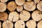 Tree stumps background, abstract of wood logs texture