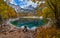 Tree stumps after deforestation near Hinterer Gosausee lake, Upper Austria. Autumn Alps mountain lake. Dachstein summit and