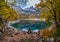 Tree stumps after deforestation near Hinterer Gosausee lake, Upper Austria. Autumn Alps mountain lake with reflections. Dachstein