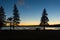 Tree at Sunrise, Thompson Island, Acadia National Park