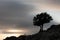 Tree at sunset in the Urbasa-Andia natural park, Navarra.