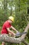 Tree surgeon using chain saw fallen tree