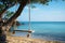 A tree suspended wooden swing with a backdrop of the azure sea