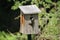 A tree swallow perched just outside the entrance of a bird house