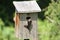 A tree swallow perched just outside the entrance of a bird house