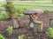 Tree table and chairs