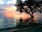 A tree in Tanjung Pendam beach, Belitung Island, Indonesia, Sunset