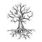 Tree Tattoo drawing in Engraving Style
