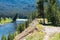 Tree tilting and leaning over the Yellowstone river at the south entrance to Yellowstone National Park