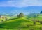 Tree on top of the hill. Landscape before sunset. Fields and pastures for animals. Agricultural landscape in summer time.