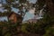 Tree Top House in Vanuatu with volcano view