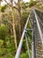Tree Top Walk, suspension bridge at Valley of the GIANTS at Walpole-Nornalup National Park, Australia.
