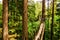 Tree tops walk with suspension bridges between trees, Capilano Vancouver