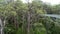 Tree tops walkway at Walpole Western Australia in autumn.