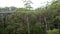 Tree tops walkway at Walpole Western Australia in autumn.