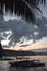 Tree traditional Philippino fisherman boats docked in a bay during sunset behind palm leaves in El Nido Palawan the Philippines