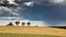 Tree trees in the field with the approaching thunderstorm