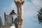 A tree trimmer worker from Artist tree service holds a chainsaw as he cuts into a tree trunk