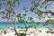 Tree and tropical beach