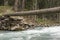 Tree trunk bridge over Panjkora river in kumrat valley, Pakistan