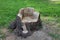 Tree trunk - chair in garden of Classicist manor house in DÃ©g