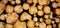 Tree trunk circles background, wooden texture