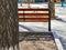 Tree Trunk, Empty Bench at the Paved Kids Playground Area in the Park on a Spring Afternoon with Long Shadows