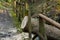 Tree trunk that fell on a wooden railing during a storm cut to pieces to free a footpath