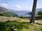 By tree trunk looking to Ullswater, Lake District